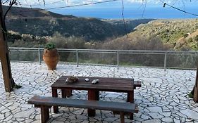 Mitato Open View